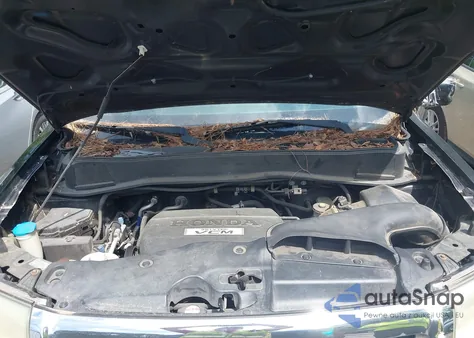 2009 Honda Pilot Ex-L from USA, damaged, VIN 5FNYF38529B027752